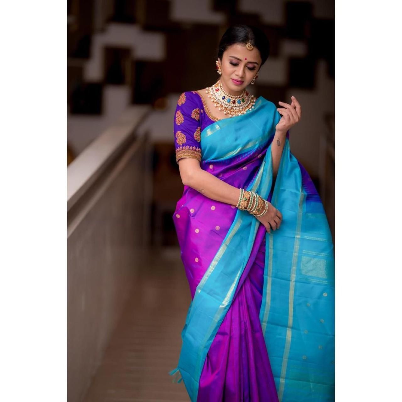 Dark Purple with Sky Blue Border Banarasi Silk Saree